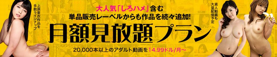 ����Č������O�ɁIHey���挩����v�����̈��S�ʂ▣�͂�O�����I